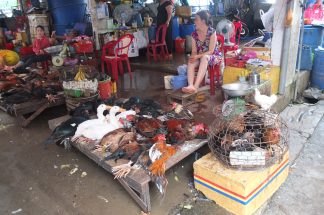 Vietnamese market